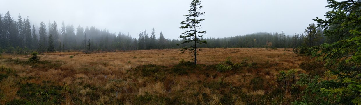 Hochmoor_1
