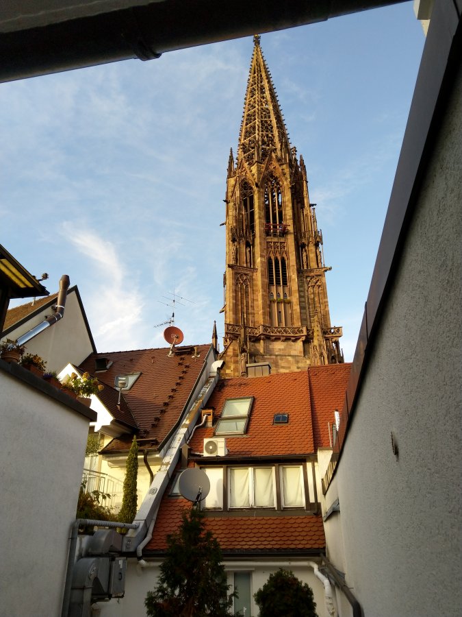 Freiburg 2019 - Münster