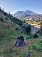 Mount_St._Helens
