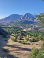 Mount_St._Helens