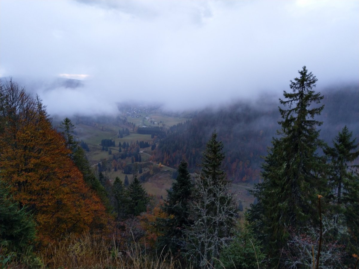 Blick auf Menzenschwand_1
